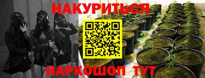 крисы Славянск-на-Кубани