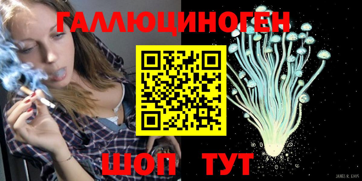 Обь  Псилоцибиновые грибы Psilocybine cubensis  Вход с VPN 