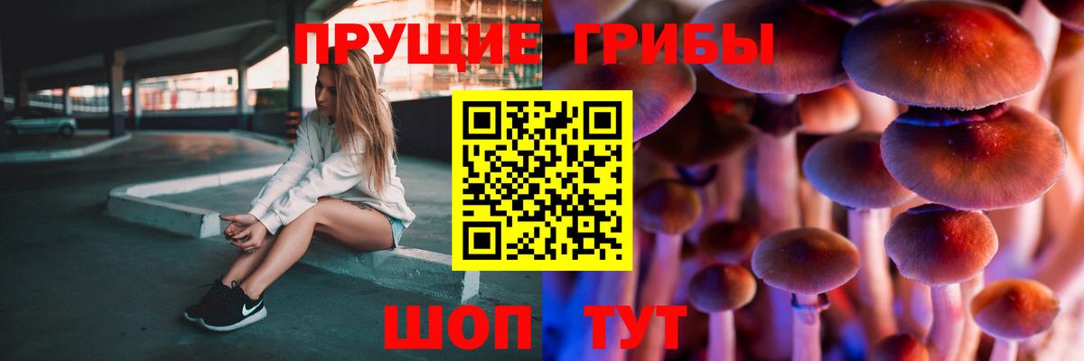 Псилоцибиновые грибы MAGIC MUSHROOMS Обь